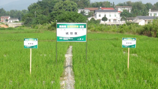 生物改良劑重金屬污染稻田修復(fù)實(shí)驗(yàn)