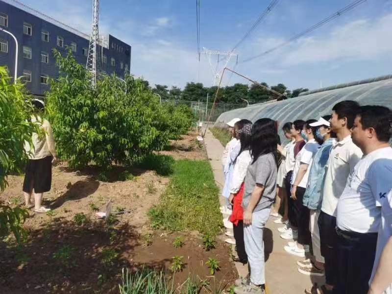 北京阿姆斯桃樹施肥以及所需肥料”專業(yè)知識(shí)培訓(xùn)